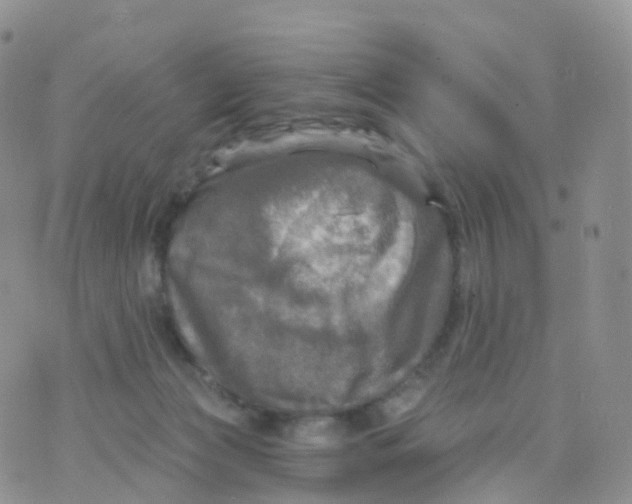 X0000070420173200606302110