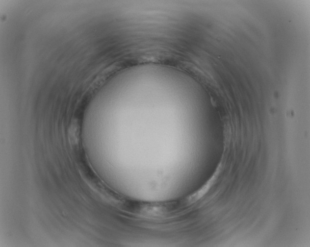 X0000070420174200606302110