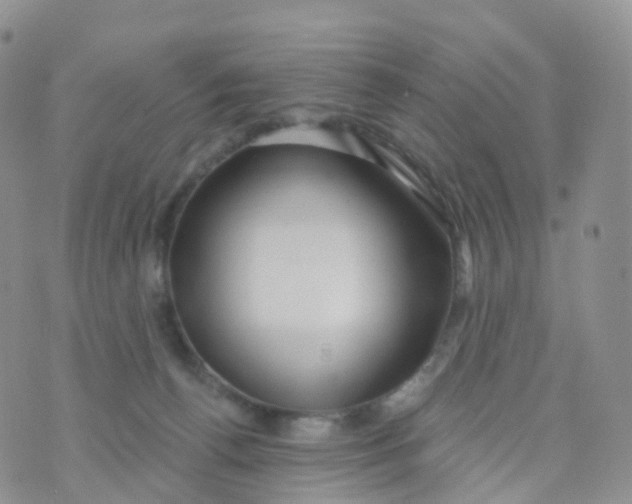 X0000070420176200606302110