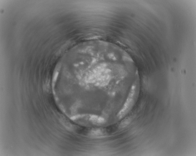 X0000070420177200606302110