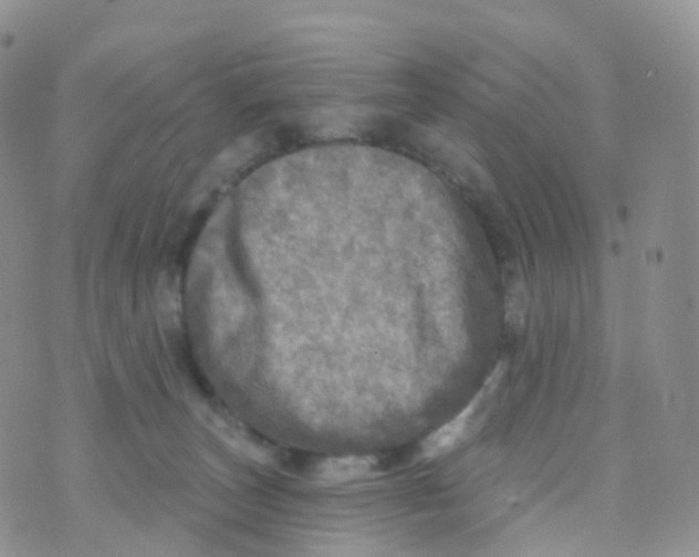 X0000070420179200606302110