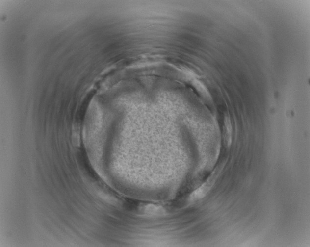 X0000070420180200606302110