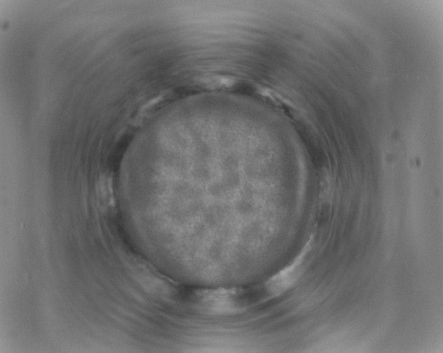 X0000070420182200606302110