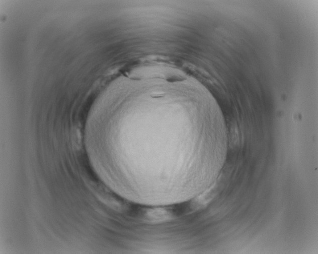 X0000070420183200606302110