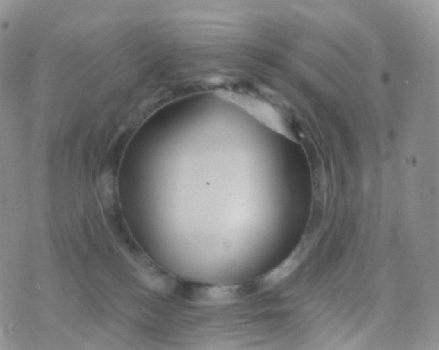 X0000070420184200606302110