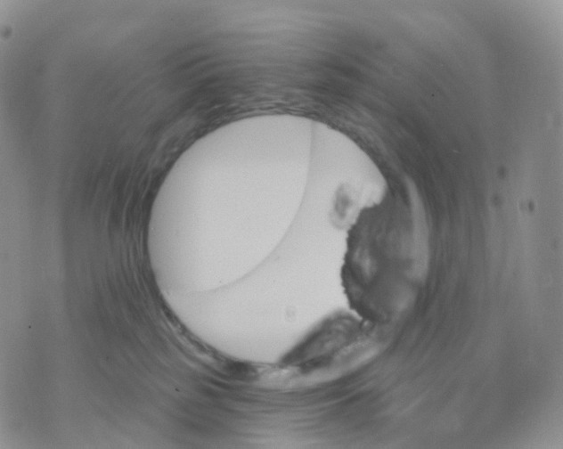 X0000070420185200606302110