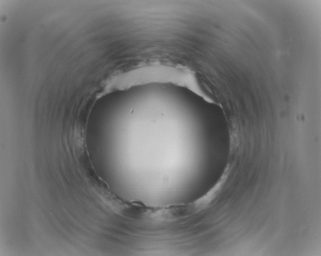 X0000070420186200606302110