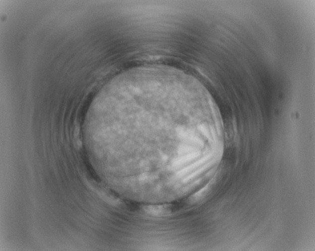 X0000070420187200606302110