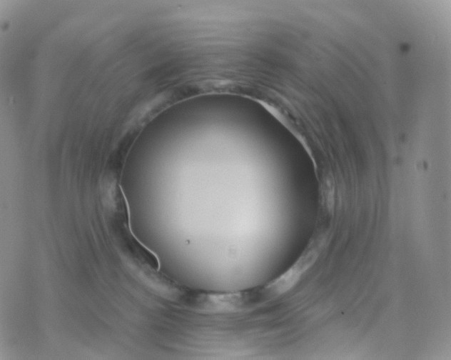 X0000070420188200606302110