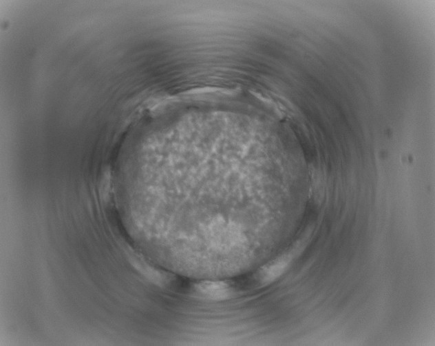 X0000070420189200606302110