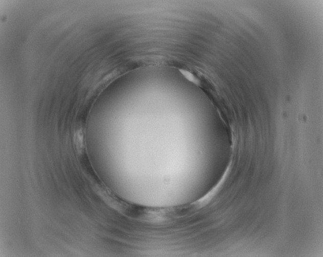 X0000070420190200606302110