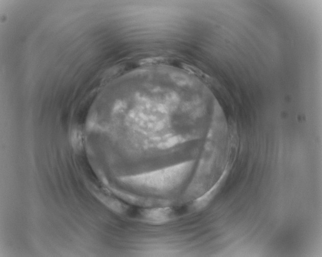 X0000070420191200606302110