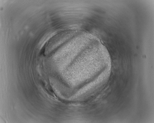 X0000070420194200606302110