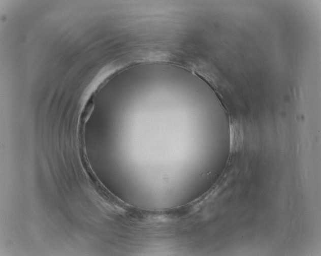 X0000070420195200606302110