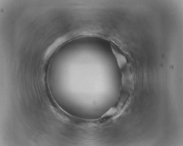 X0000070420197200606302109