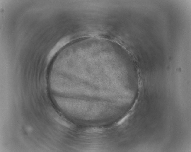 X0000070420198200606302109