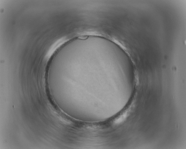 X0000070420199200606302109