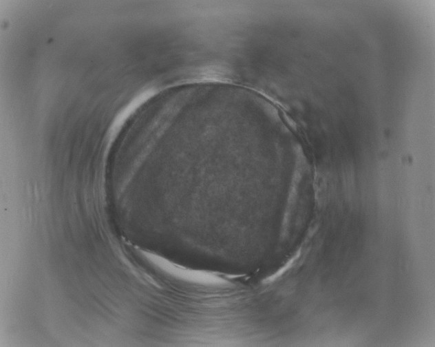 X0000070420200200606302109