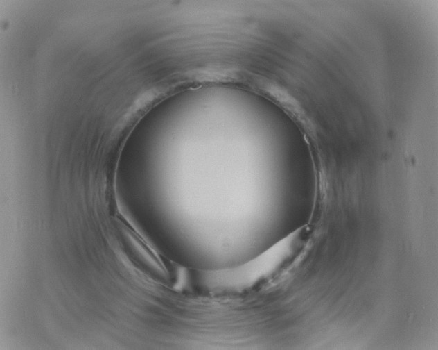 X0000070420201200606302109