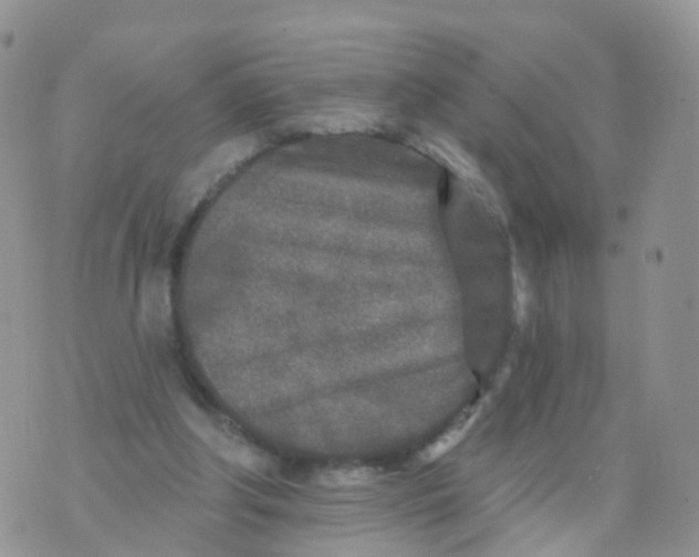 X0000070420202200606302109