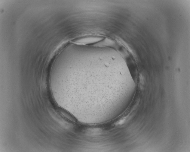 X0000070420203200606302109