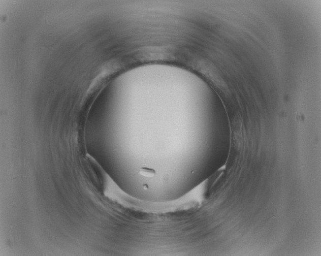 X0000070420207200606302109