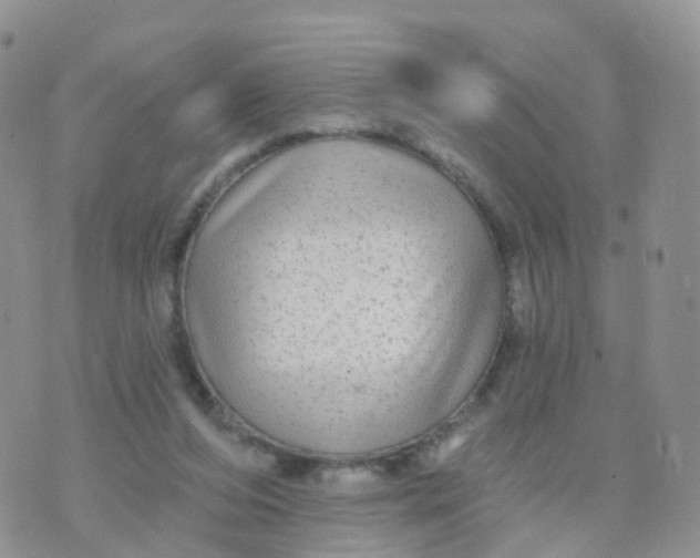 X0000070420208200606302109