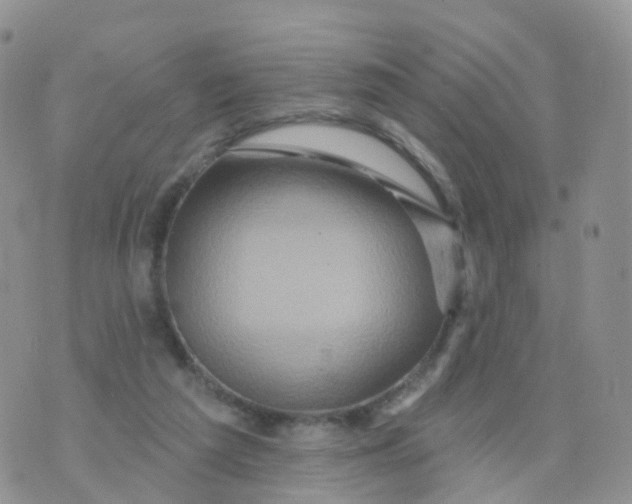 X0000070420209200606302109