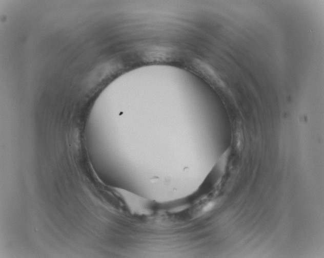 X0000070420211200606302109