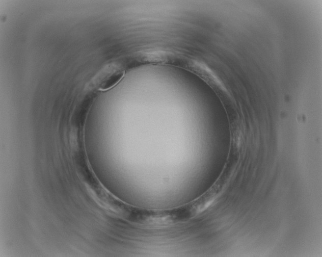 X0000070420213200606302109