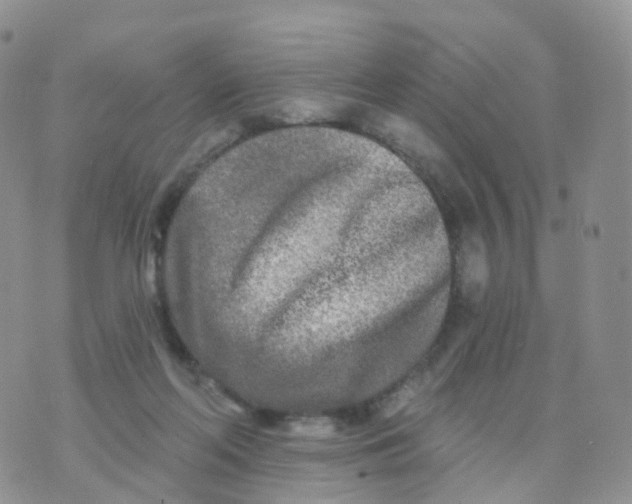 X0000070420214200606302109