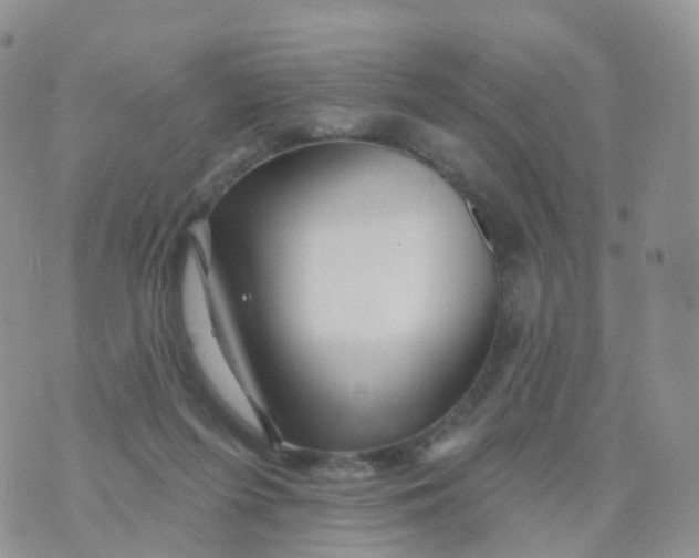 X0000070420215200606302109