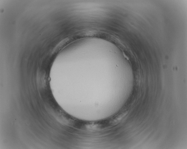 X0000070420216200606302109