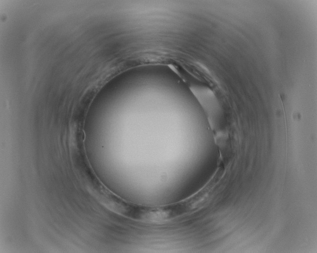 X0000070420217200606302109