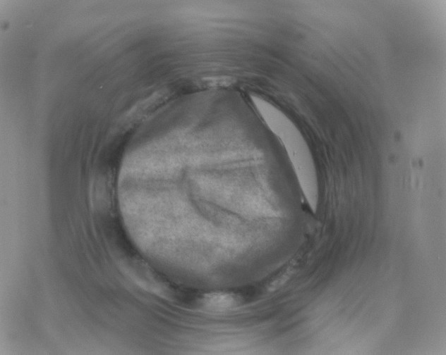 X0000070420218200606302109