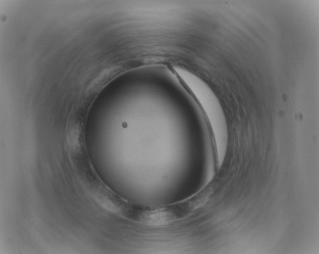 X0000070420219200606302109