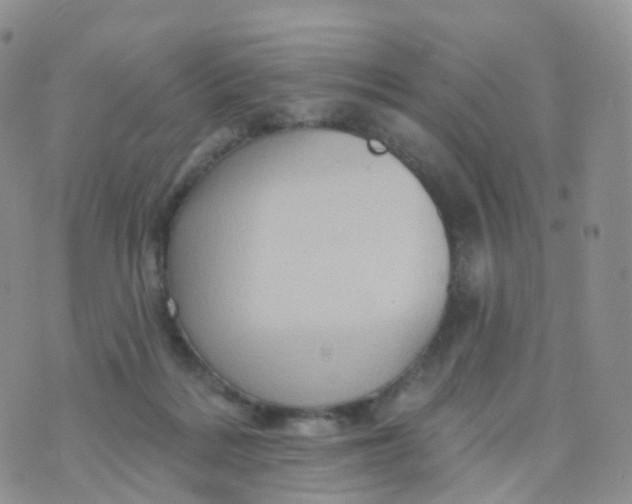 X0000070420220200606302109