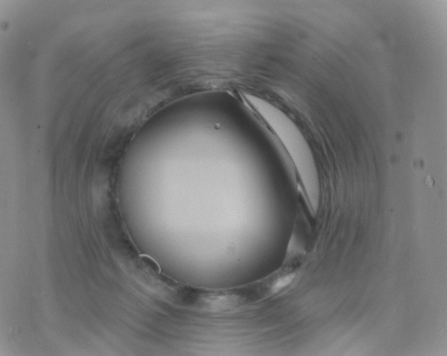 X0000070420221200606302109