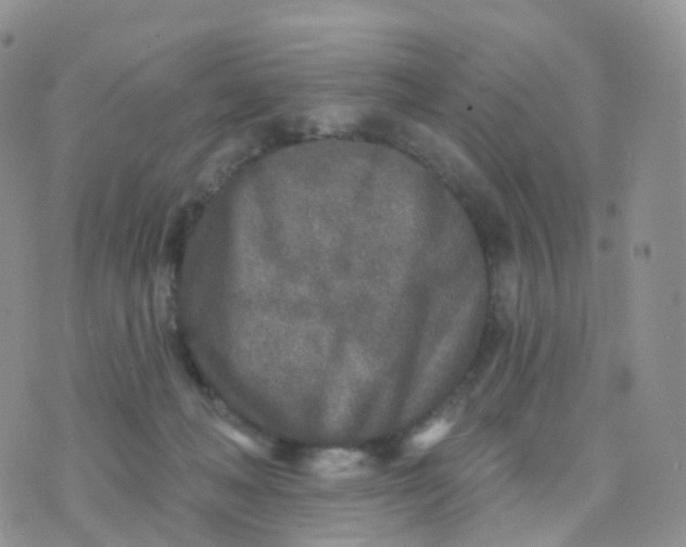 X0000070420222200606302109