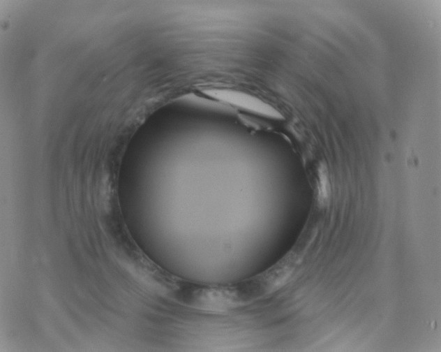 X0000070420223200606302109