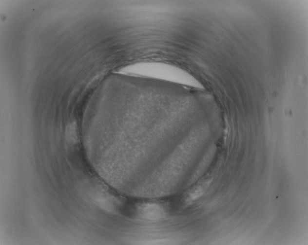 X0000070420224200606302109