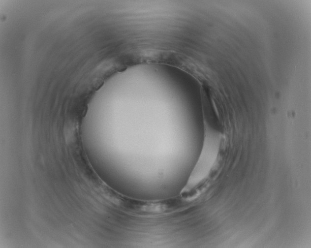 X0000070420225200606302109