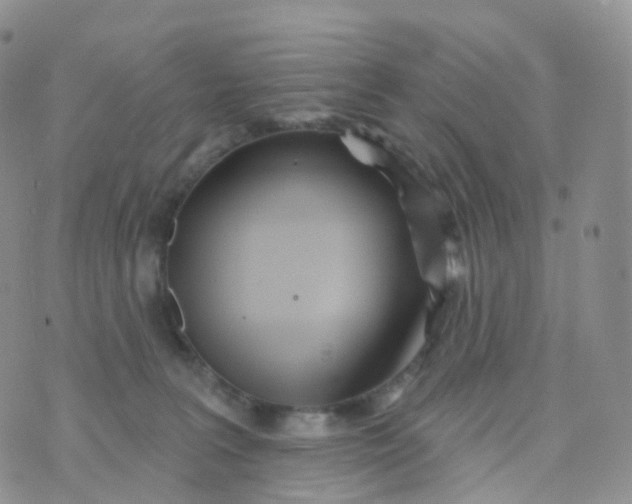 X0000070420227200606302109