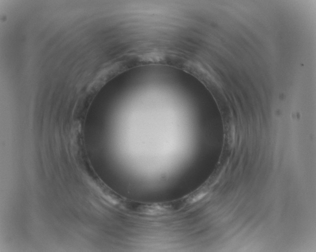 X0000070420229200606302109