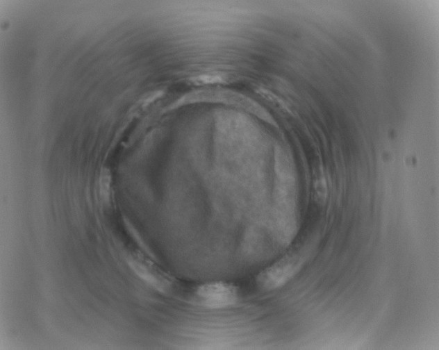 X0000070420231200606302109