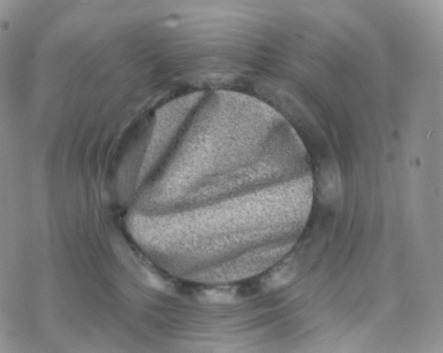 X0000070420232200606302109