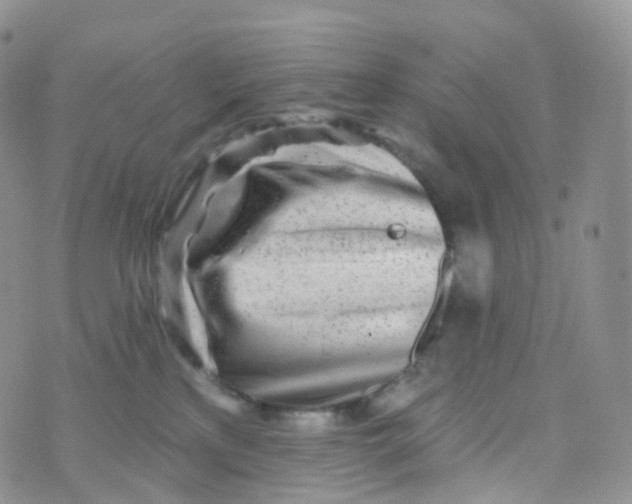 X0000070420233200606302109