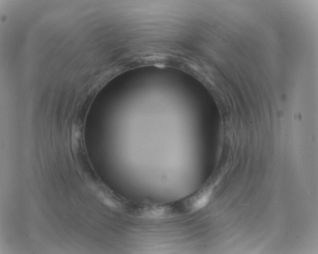 X0000070420235200606302109