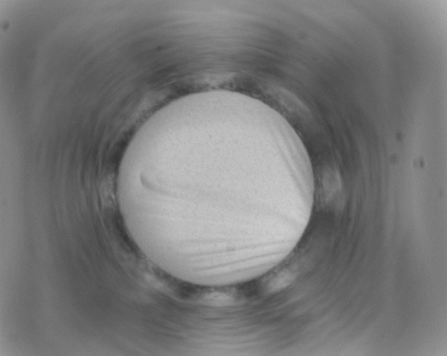 X0000070420236200606302109