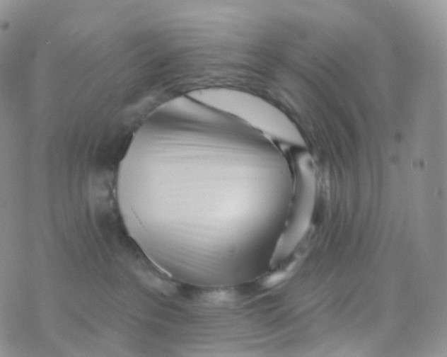 X0000070420237200606302109